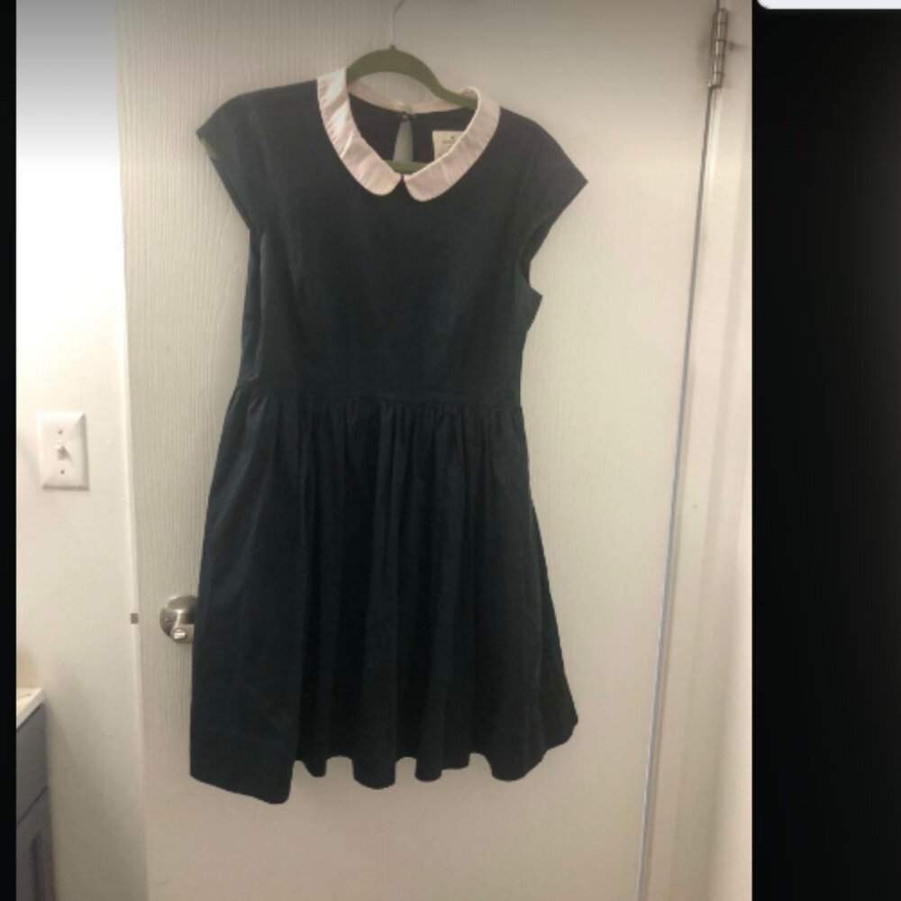 Kate Spade Peter Pan Collared Cap Sleeve Fit Flare Dress Sz 10